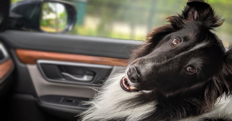 Itinéraire road trip dans les parcs nationaux de l'Ouest américain