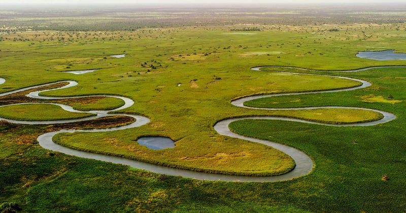 Où observer la faune sauvage en safari au Botswana