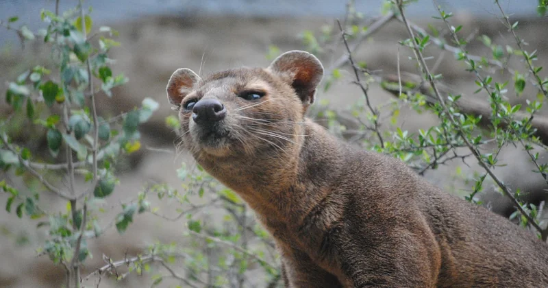 Quelles réserves naturelles pour observer cette richesse ?