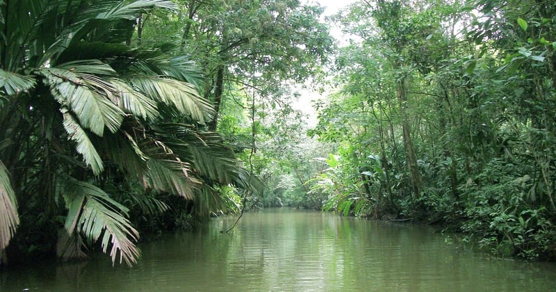 Préparer un voyage aventure au Costa Rica : le guide essentiel